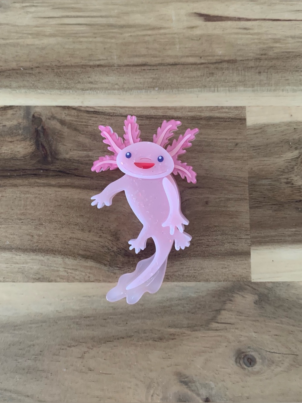 Erstwilder Axolotl Brooch rare animal pin NWOT